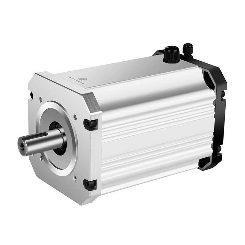 6 Phase Pmsm Motor